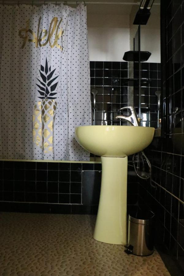Le Vintage - Appartement En Plein Coeur De La Vieille Ville アヌシー エクステリア 写真
